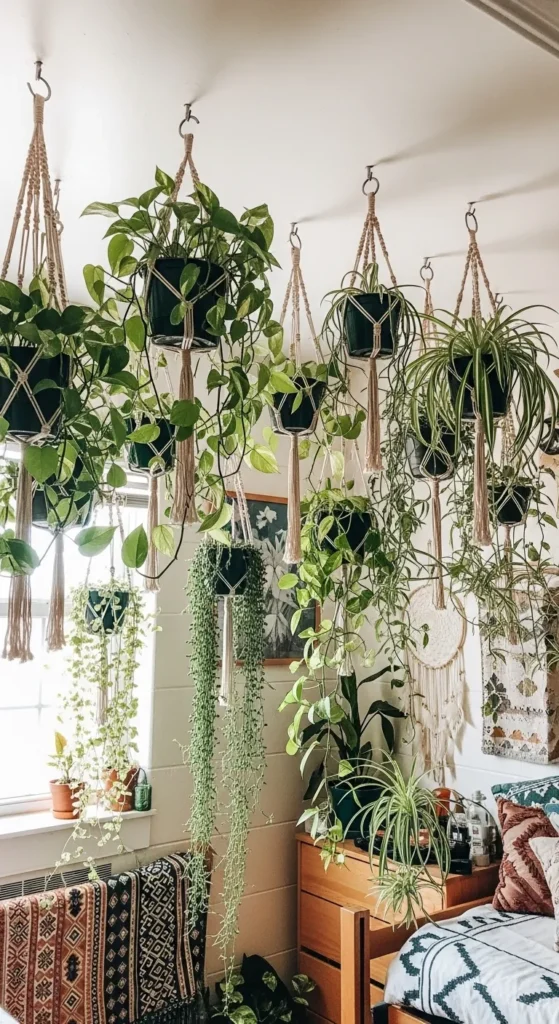 Boho Dorm Room Ideas 2026