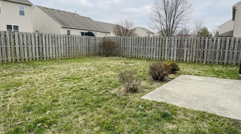 Gardening and Landscaping Ideas
